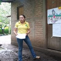 Calcular Fórmula De Fertilización