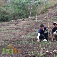 Proceso De Formación En Producción – San Jerónimo.