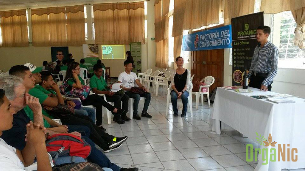 Taller De Gestión De Conocimiento Y Emprendimiento