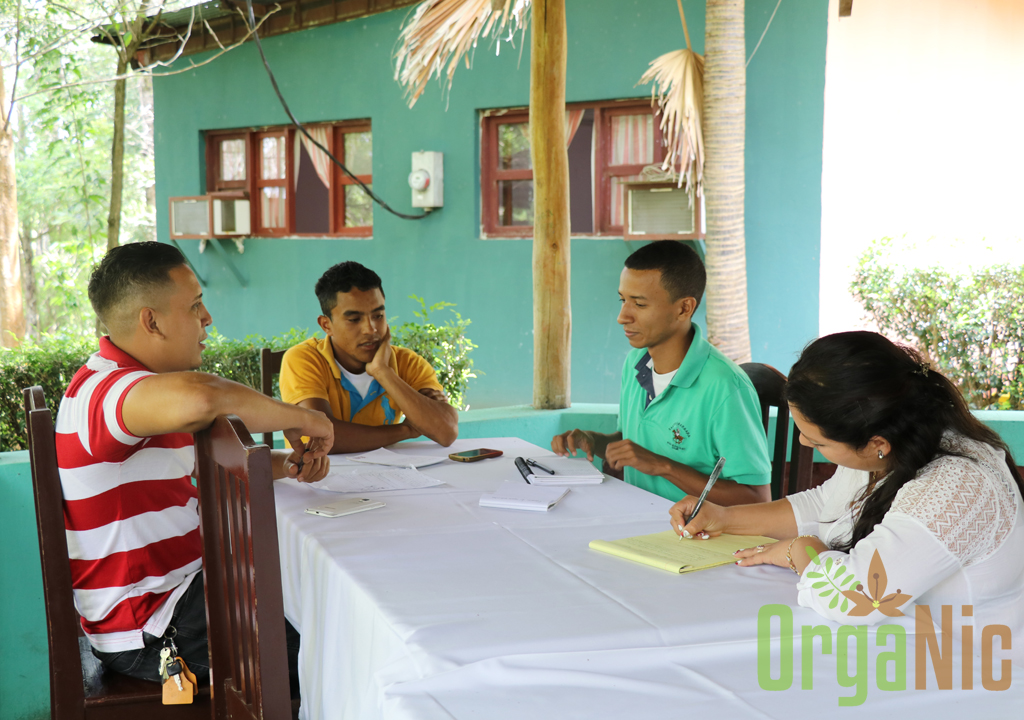 Taller Sobre Visión, Talento Y Fortalecimiento Grupal