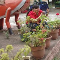 Fotografía: Una Combinación De Arte Y Técnica