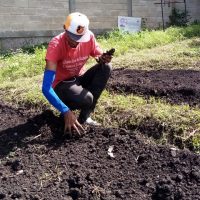 Día Internacional Contra El Cambio Climático