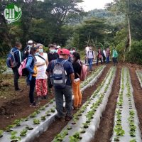 Clúster Temático Sobre Seguridad Alimentaria Y Generación De Ingresos