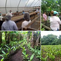 Intercambio De Experiencia: Producción Sostenible Y Valor Agregado